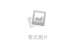 P30 SDK