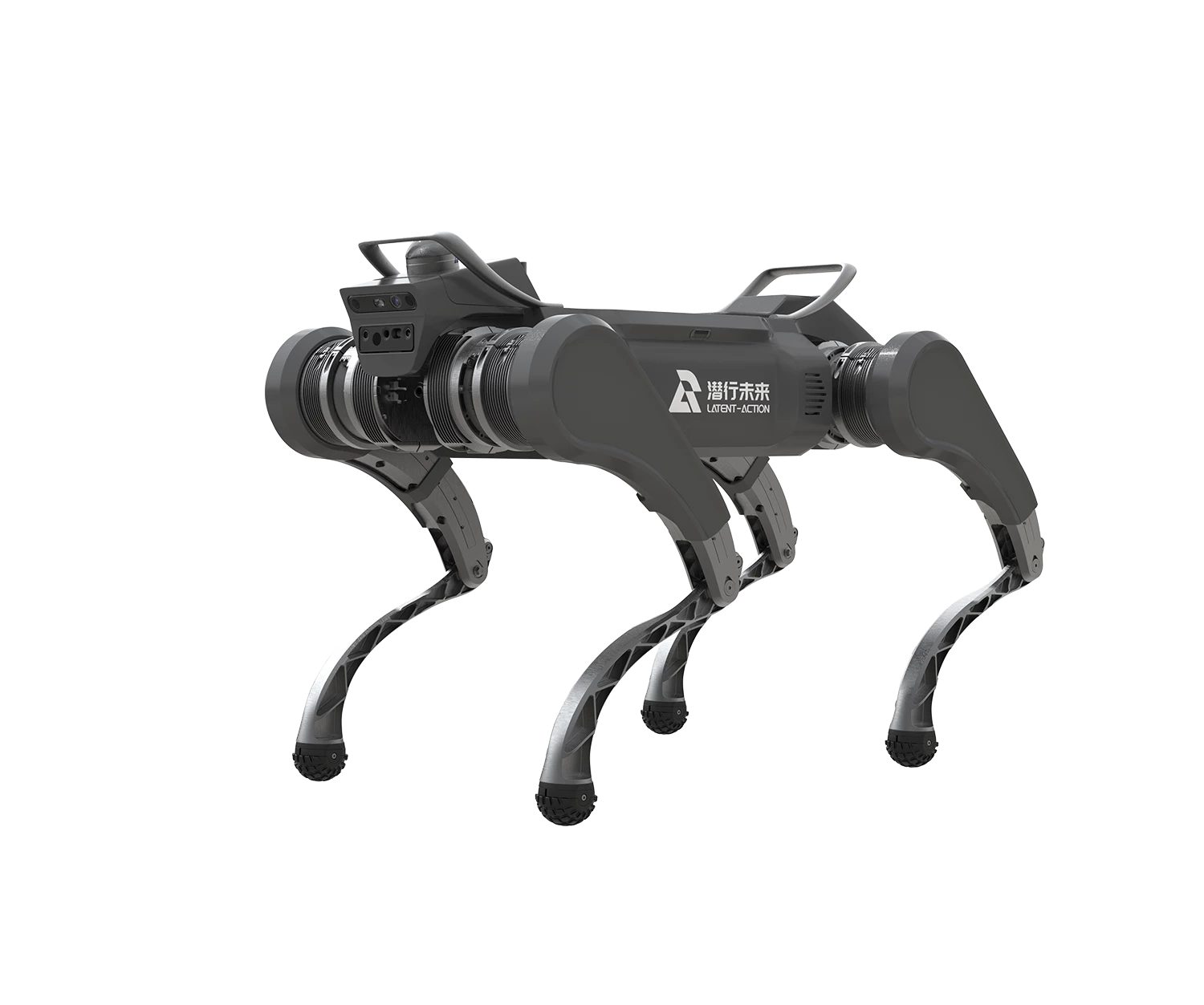 P30F