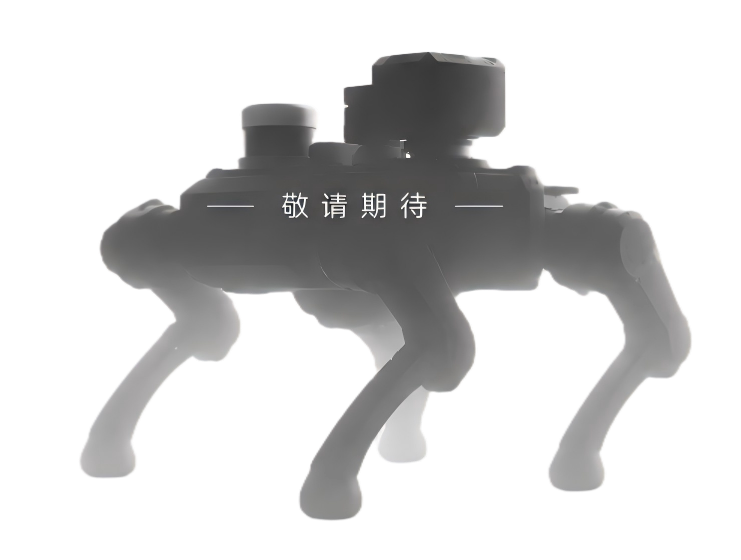 敬请期待